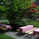 Grillfest im Park am Teich